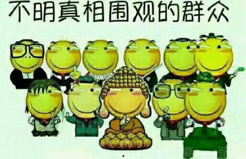 娱乐吃瓜文字游戏大全